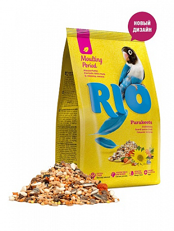     500 RIO            