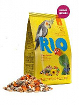    500 RIO         