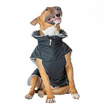 картинка для Попона зимняя 54 для собак на сайте сети магазинов Бонифаций