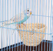 картинка для Гнездо D 11х7см Chill Choll сизаль для попугаев на сайте сети магазинов Бонифаций